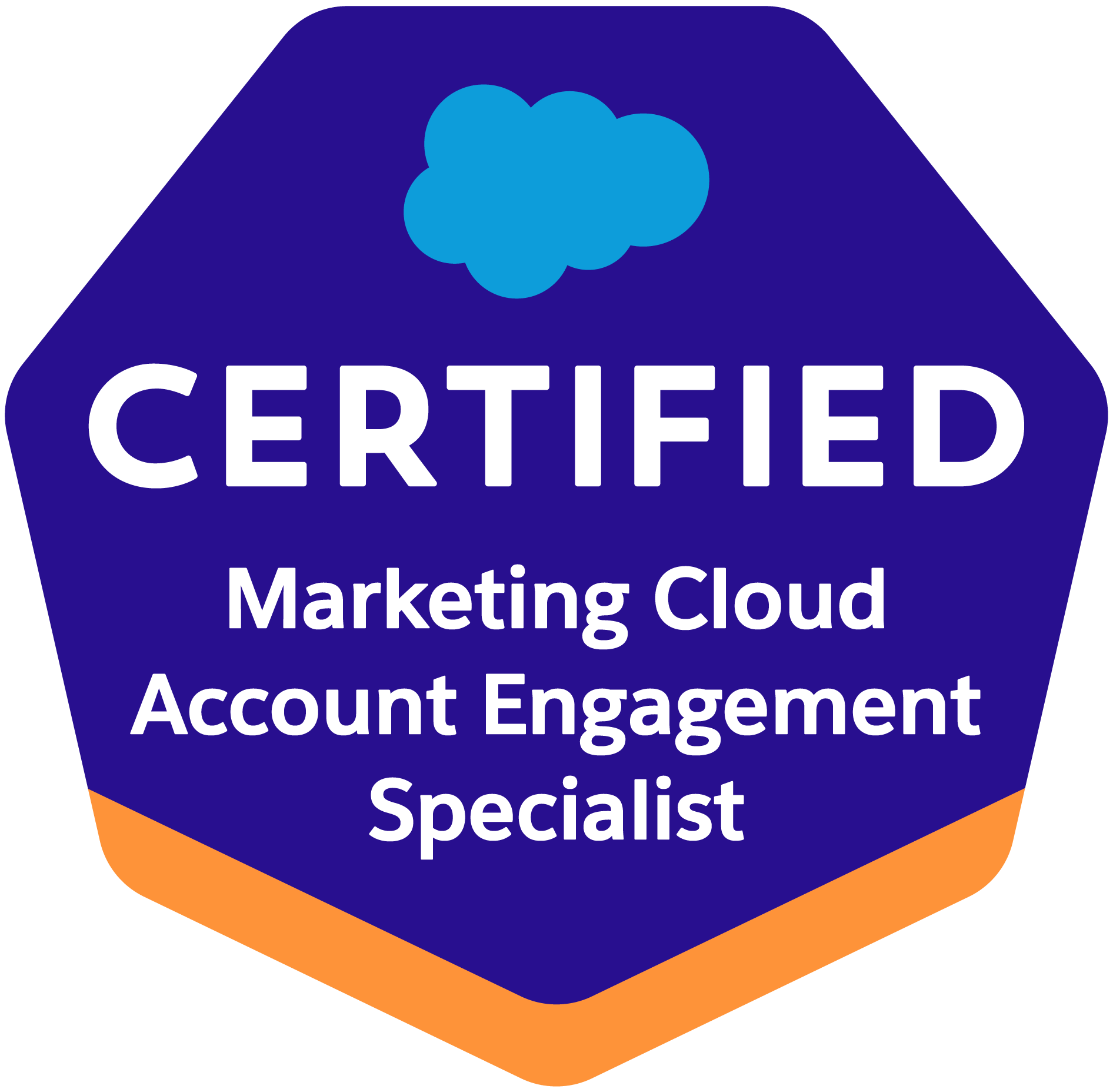 Salesforce certified marketing cloud account engagement specialist