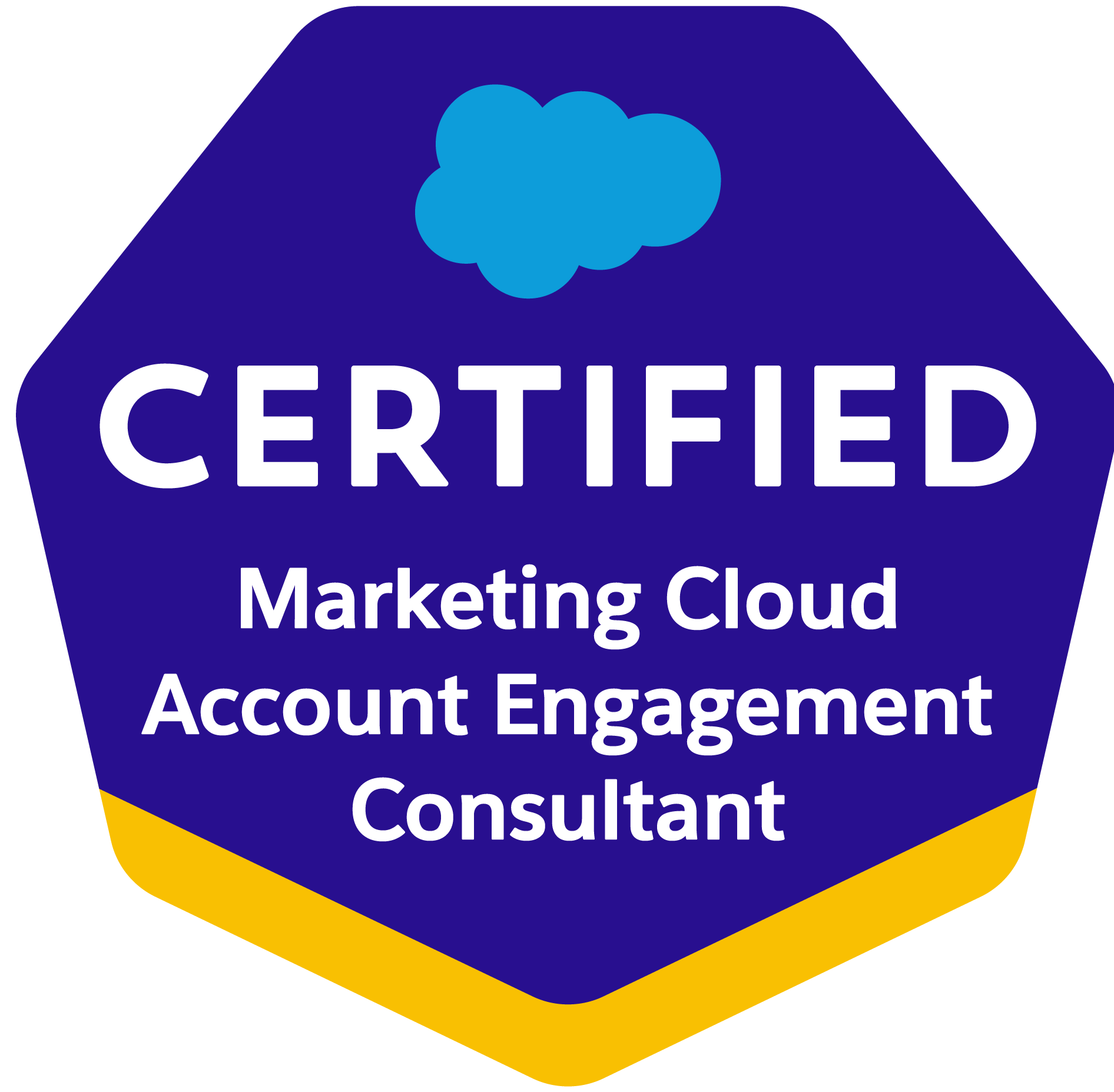 Salesforce certified marketing cloud account engagement consultant